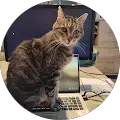 Anne Basselin Avatar